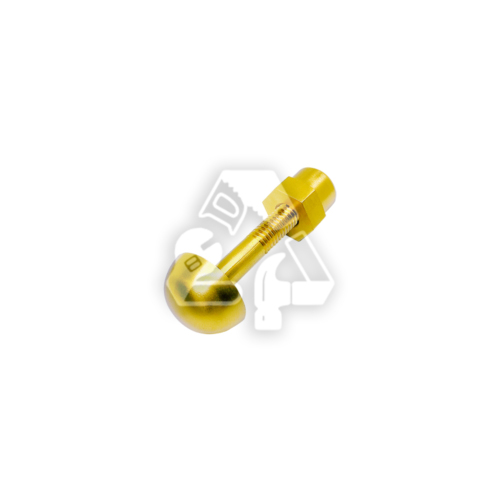 Brass Door Screw B58